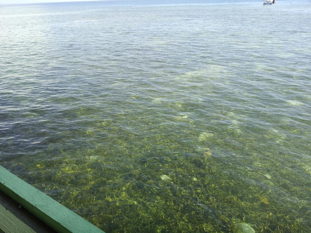 大洋湾海滩度假村 达拉盖地 外观 照片